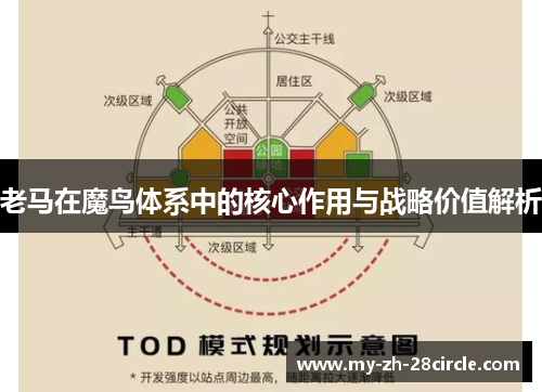 老马在魔鸟体系中的核心作用与战略价值解析