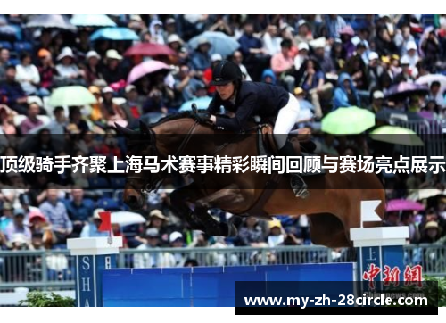 顶级骑手齐聚上海马术赛事精彩瞬间回顾与赛场亮点展示
