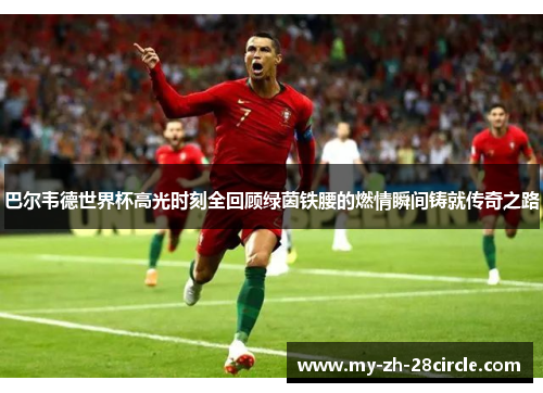 巴尔韦德世界杯高光时刻全回顾绿茵铁腰的燃情瞬间铸就传奇之路